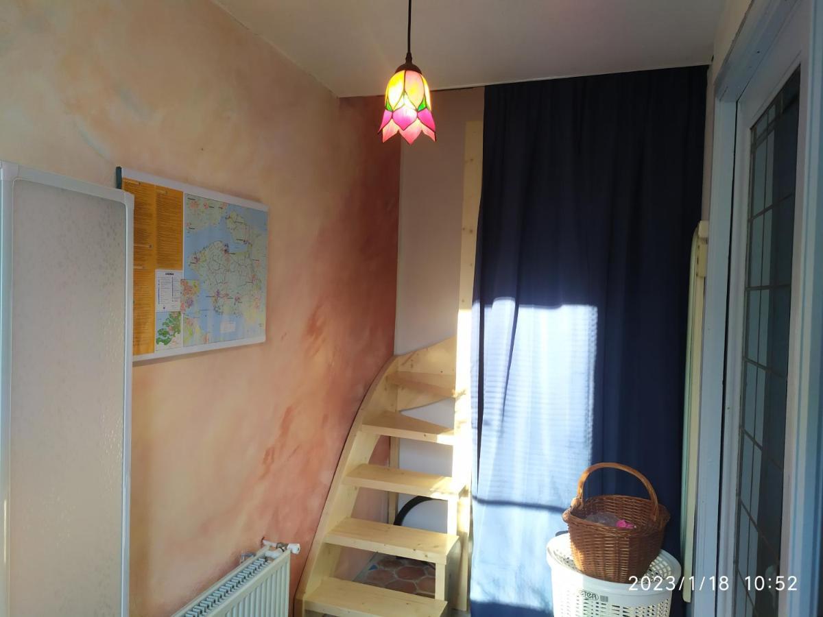 Stavenisse The Cosy Little House With The Sundialヴィラ エクステリア 写真